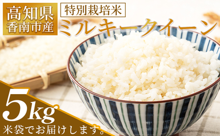 [2025年8月下旬以降順次発送]特別栽培米 ミルキークイーン 5kg 高知県香南市産 [特別栽培米特別栽培米特別栽培米]sr-0001