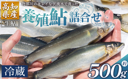 [冷蔵]鮎 500g 先行受付[鮎 鮎 鮎 鮎 鮎 鮎] kt-0001