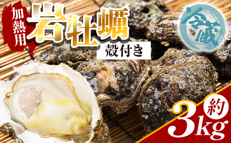 岩牡蠣(殻付き) 3kg 冷蔵 加熱用[カキ カキ カキ カキ カキ カキ] eb-0009