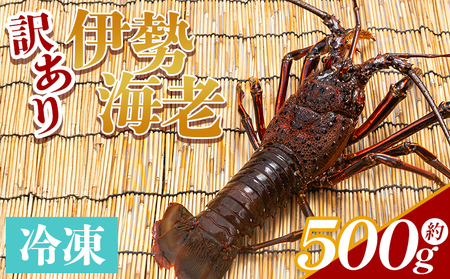 伊勢海老 500g 冷凍【伊勢海老 伊勢海老 伊勢海老 伊勢海老 伊勢海老 伊勢海老】 eb-0004
