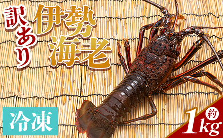 伊勢海老 1kg 冷凍【えび えび えび えび えび えび えび】 eb-0006