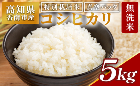 無洗米 特別栽培米 真空パック コシヒカリ 5kg 【 コシヒカリ コシヒカリ コシヒカリ コシヒカリ】 nu-0002