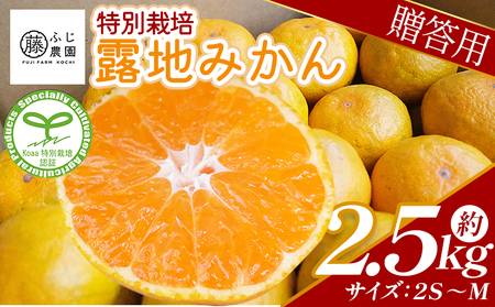 [特別栽培みかん]ふじ農園の露地みかん 贈答用 2.5kg (2S〜M)[温州みかん 有機栽培 フルーツ くだもの] fn-0001