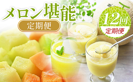 [12回定期便]ロン堪能定期便[高知県産マスクメロン] 全12回 果物・フルーツ メロン めろん 定期便 定期便 Wtn-0044