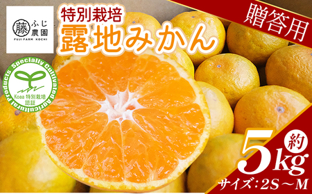 [特別栽培みかん]ふじ農園の露地みかん 贈答用 5kg (2S〜M)[フルーツ フルーツ フルーツ フルーツ フルーツ] fn-0002