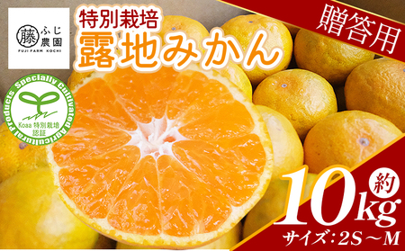[特別栽培みかん]ふじ農園の露地みかん 贈答用 10kg (2S〜M)[果物 果物 果物 果物 果物] fn-0003