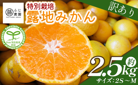 ふじ農園の露地みかん 訳あり品 2.5kg (2S〜M) [柑橘 柑橘 柑橘 柑橘 柑橘] fn-0004