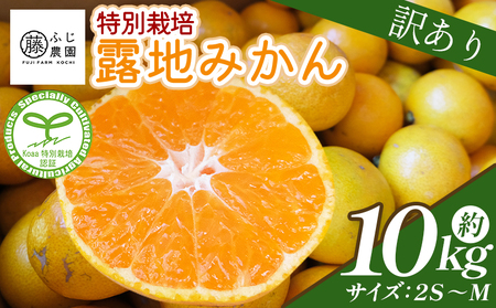 ふじ農園の露地みかん 訳あり品 10kg (2S〜M)[みかん みかん みかん みかん みかん] fn-0006