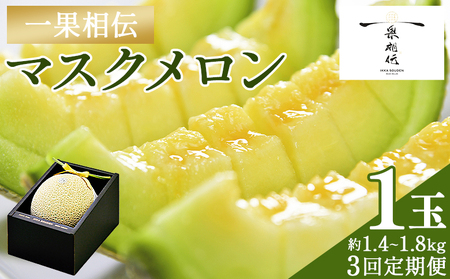 [3回定期便]マスクメロン定期便[高知県産マスクメロン] 全3回 果物・フルーツ メロン めろん 定期便 定期便 Wtn-0040