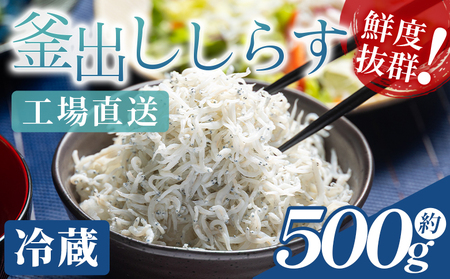 [冷蔵]釜出ししらす(ちりめん) 約500g[魚介 魚介 魚介 魚介 魚介 魚介] mu-0009