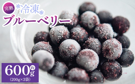 完熟 冷凍ブルーベリー 約600g(200g×3)[ブルーベリー ブルーベリー ブルーベリー ブルーベリー ブルーベリー ブルーベリー] yg-0027