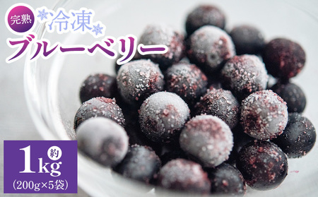 完熟 冷凍ブルーベリー 約1kg(200g×5袋)[ブルーベリー ブルーベリー ブルーベリー ブルーベリー ブルーベリー] yg-0028