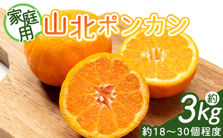 香南市産 ポンカン 3kg 訳あり 2026年1月 中旬より順次発送 yk-0055