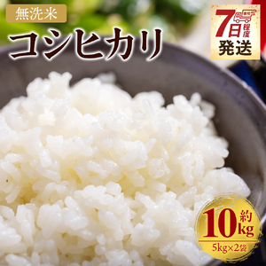 [7営業日程度で発送]無洗米 令和7年産 コシヒカリ 無洗米cs-0002