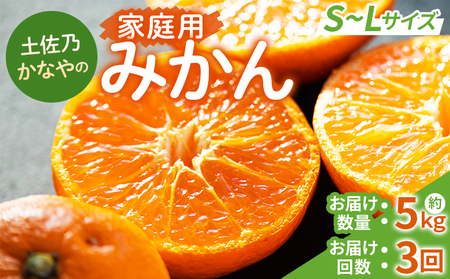 [11月〜12月]みかん定期便 5kg×3回 高知県香南市 みかん定期便 Wbe-0095