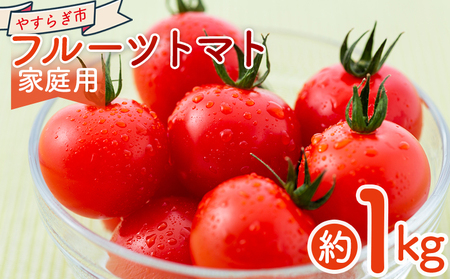 y2026N1ȍ~zt[cg}g P ƒp yr-0066