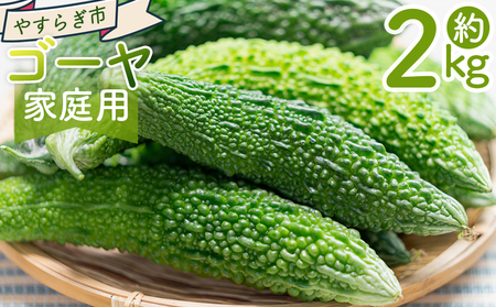 y2025N10ȍ~zS[ Q ƒp yr-0074