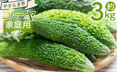 y2025N10ȍ~zS[ R ƒp yr-0075