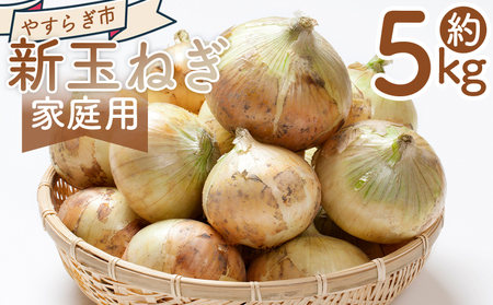 [2026年3月以降順次発送]新玉ねぎ 5kg 家庭用 yr-0079