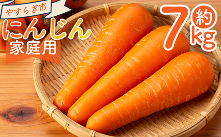 y2025N11ȍ~zɂ񂶂 V ƒp yr-0084