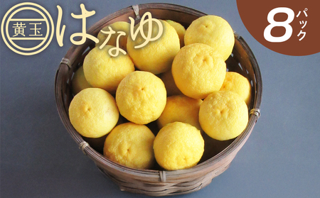 花柚子(黄玉) 8パック 柚子 hy-0003