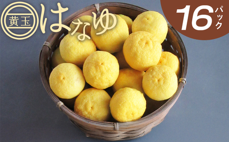 柚子 花柚子(黄玉) 16パック 国産 柑橘 hy-0004