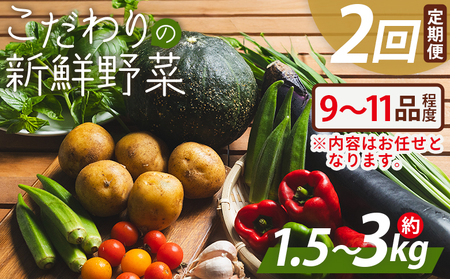 こだわりの新鮮野菜 2回定期 Waf-0002