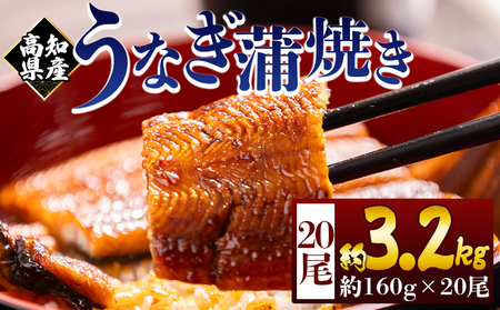 高知県産蒲焼きうなぎ １６０g ２０尾 計３２００ｇ fb-0185