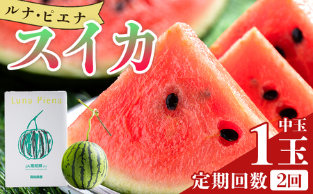 �y�Q�����ցz���i�E�s�G�i�X�C�J(����) 1�� Wyu-0035