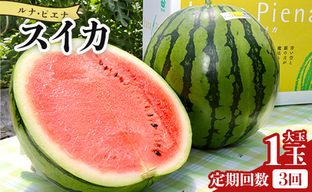 �X�C�J�y�R�����ցz���i�E�s�G�i�X�C�J(���) 1�� Wyu-0042