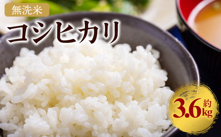令和7年産 無洗米 コシヒカリ 計約3.6kg cs-0003