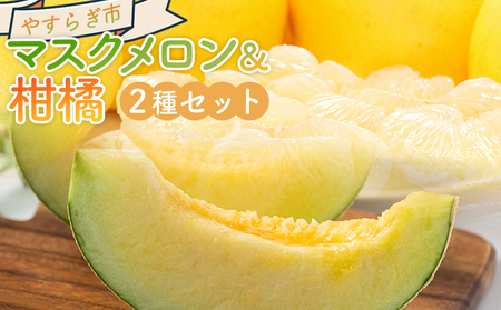 マスクメロン&柑橘2種セット yr-0111