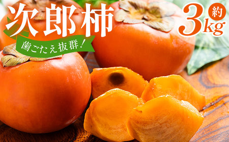 [2026年10月下旬より順次配送]次郎柿 3kg 高知県 香南市 柿 nm-0003