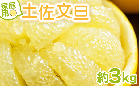 土佐文旦 家庭用 3kg 大小混合(サイズ：L～3L) 文旦 yk-0071