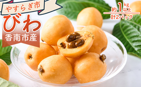 【先行予約】 びわ 1kg 【2026年5月末より順次発送】 びわ yr-0115