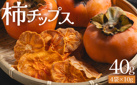 柿 チップス 計40ｇ 4袋(10g✕4) 柿チップス ke-0022