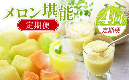 [4回定期便]メロン堪能定期便[高知県産マスクメロン] 全4回 果物 フルーツ メロン めろん 定期便 定期便 Wtn-0054