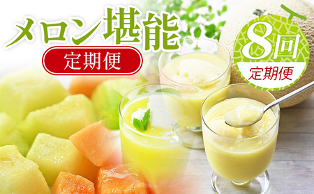[8回定期便]マスクメロン堪能定期便 [高知県産マスクメロン] 全8回 果物 フルーツ メロン めろん 定期便 定期便 Wtn-0055