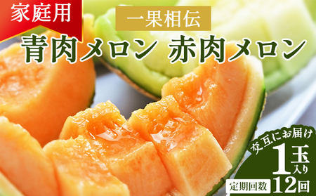 【12ヶ月定期便】【訳あり品】マスクメロン1玉 青肉 赤肉 交互にお届け メロン 夜須町産 Wtn-0053