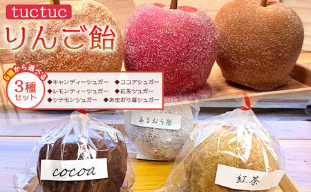 りんご飴 6種類から選べる3本セット りんご tt-0015