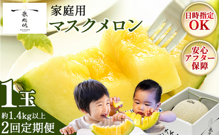 [2回定期便]マスクメロン(家庭用) 1玉入 青肉品種 高級メロン! / マスクメロン 果物 フルーツ ギフト 農家直送 Wtn-0057