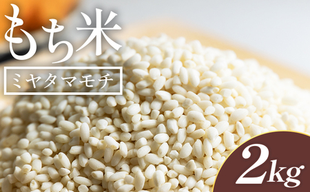 もち米(ミヤタマモチ) 高知県産 2kg 先行受付 もち米 at-0069
