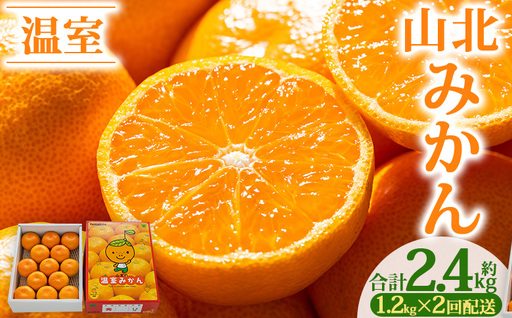 [2回定期便]山北温室みかん1.2kg 定期便 Wku-0059
