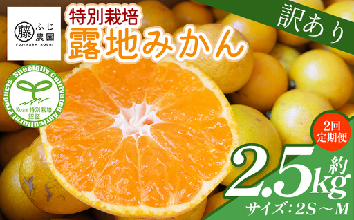 [2回定期便]ふじ農園の露地みかん 訳あり品 2.5kg(2S〜M) みかん Wfn-0019