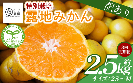 【3回定期便】ふじ農園の露地みかん 訳あり品 2.5kg(2S～M) みかん Wfn-0020