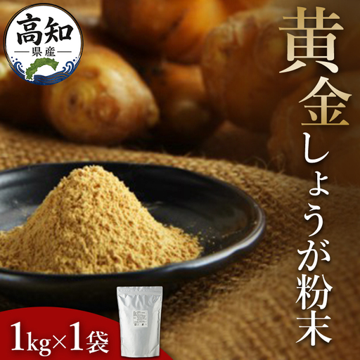 黄金しょうが粉末 1kg 生姜 ジンジャー のし対応不可 数量限定 ジンジャーパウダー 生姜粉末 からだぽかぽか 冷え症対策 国産 特産品 しょうが ショウガ 高知県産 野菜 坂田信夫商店 高知県 香南市 常温 Xnb-0010