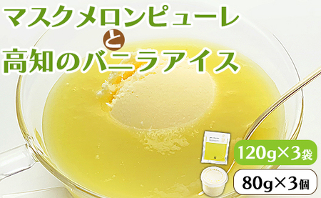 ピューレ メロンピューレ バニラアイスクリーム 3個セット 青肉 アイス 「めざましどようび キクエがキクヨ!」で特集 JALファーストクラス機内食に採用 マスクメロンピューレと高知のバニラアイス - 果物 くだもの めろん 果実 果汁 100% 丸搾り まるごと ストレート ジュース アイス シャーベット デザート スイーツ tn-0020