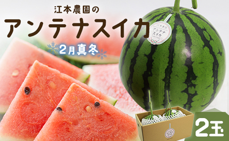 �y���Ԍ���z�]�{�_����2���^�~�A���e�i�X�C�J2�ʁy�X�C�J�X�C�J�X�C�J�X�C�J�X�C�J�z em-0021