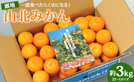 一度食べたらくせになる！高知県産 山北みかん 約3kg(露地 2S～Lサイズ) - 果物 フルーツ ミカン 柑橘 のし 贈り物 冬 注文順順次配送 お取り寄せ Aku-0001