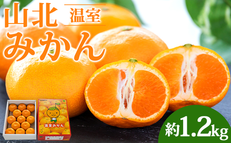 山北温室みかん1.2kg 果物 柑橘 ミカン 期間限定 蜜柑 フルーツ みかん ku-0021